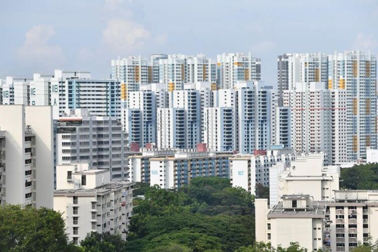 nz hdb 080563
